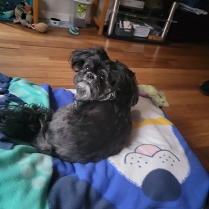 Fundraising Page: Erica Rocheleau